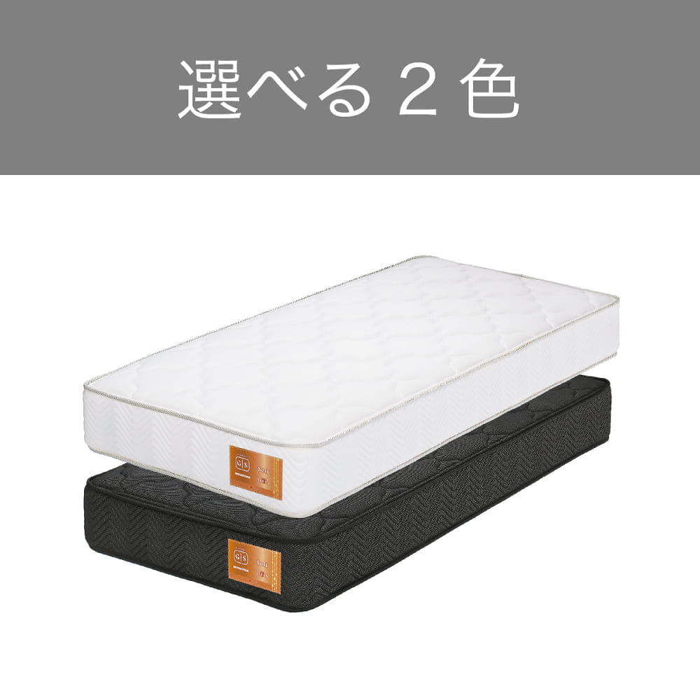 選べる2色